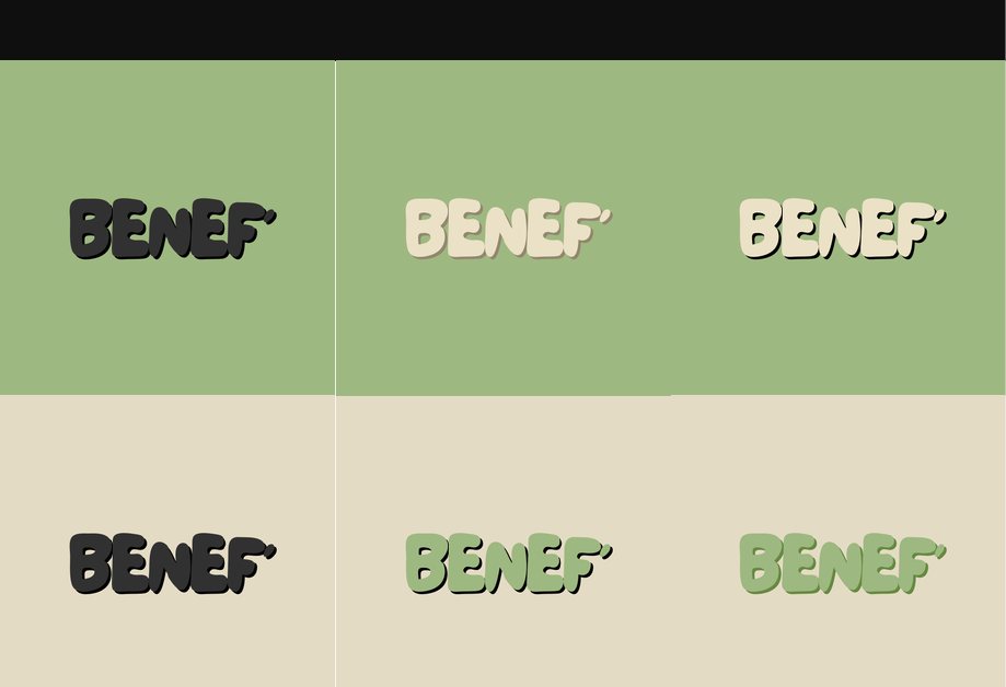 Déclinaisons du logo BENEF